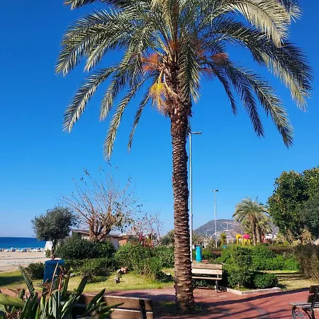 Larsens Apartahotel *