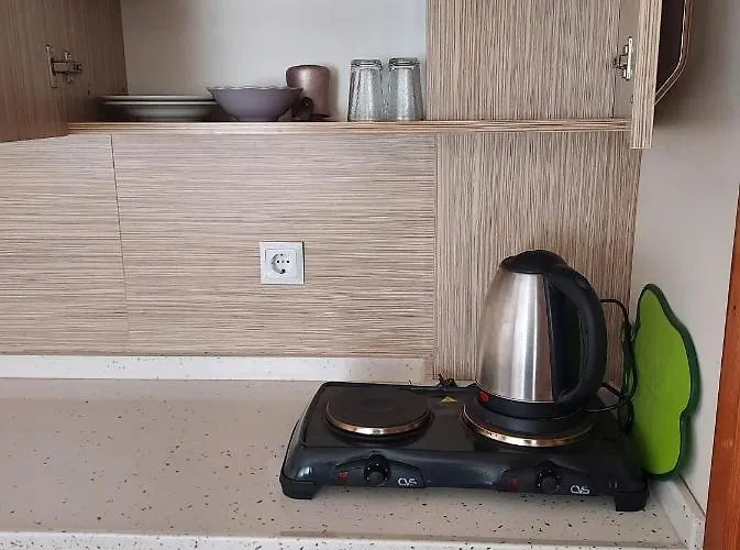 Larsens 公寓式酒店 阿拉尼亚