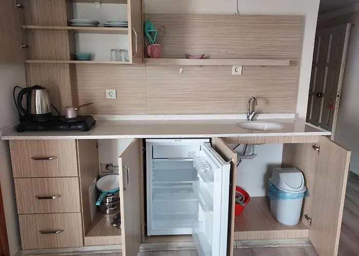 Larsens アパートホテル *