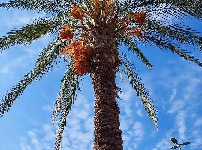 Hotel apartamentowy Larsens