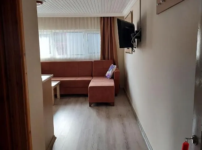 Larsens 阿拉尼亚