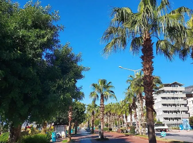 公寓式酒店 Larsens