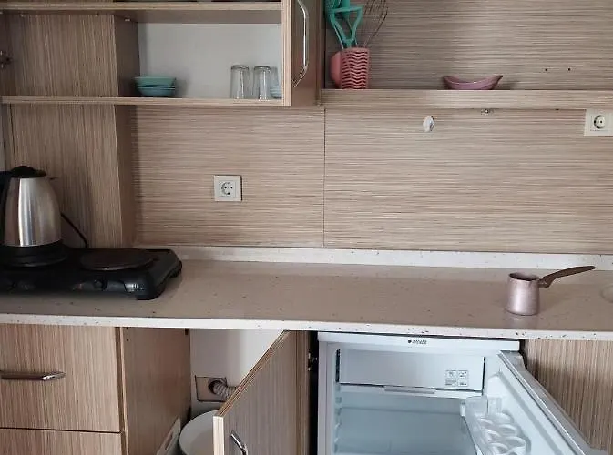 Larsens 公寓式酒店 *