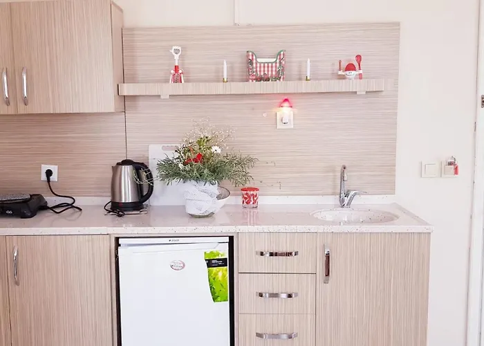 Larsens Hotel apartamentowy Alanya